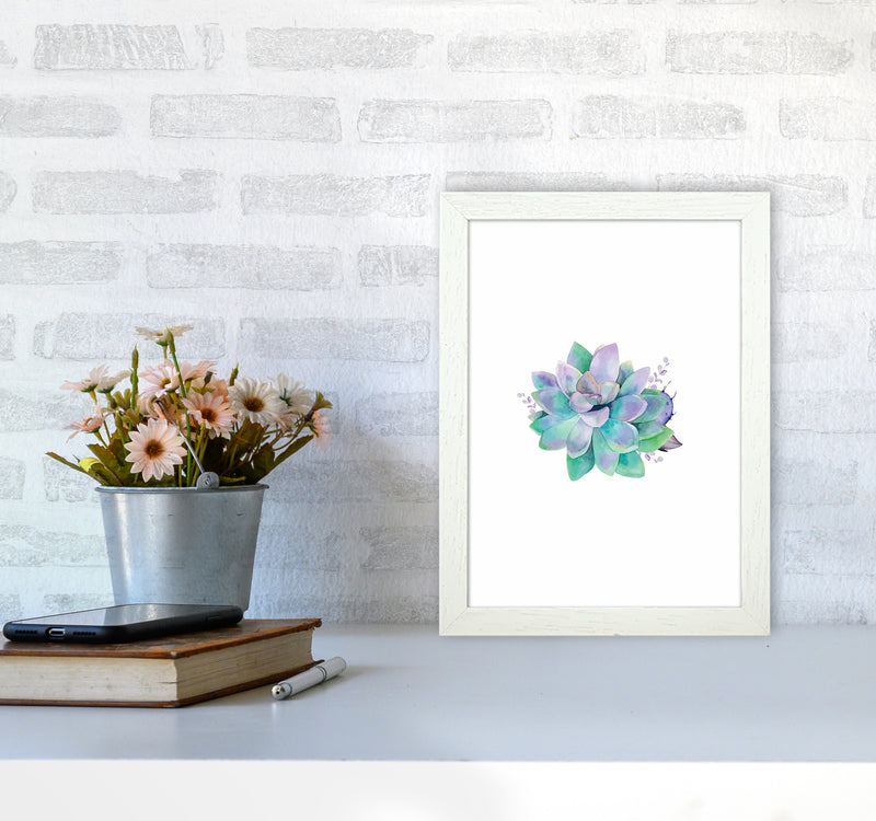 Aqua Succulent Botanical Art Print by Seven Trees Design A4 Oak Frame