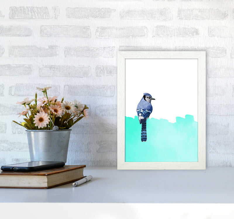 Bird Blue Art Print by Seven Trees Design A4 Oak Frame
