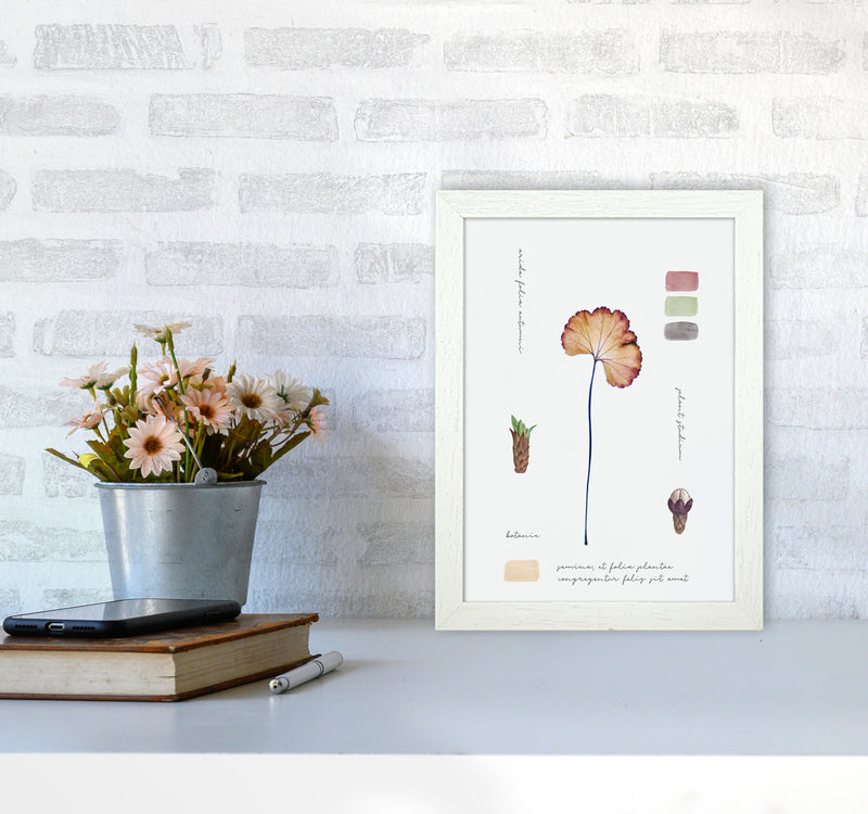 Botanic Notes Art Print by Seven Trees Design A4 Oak Frame