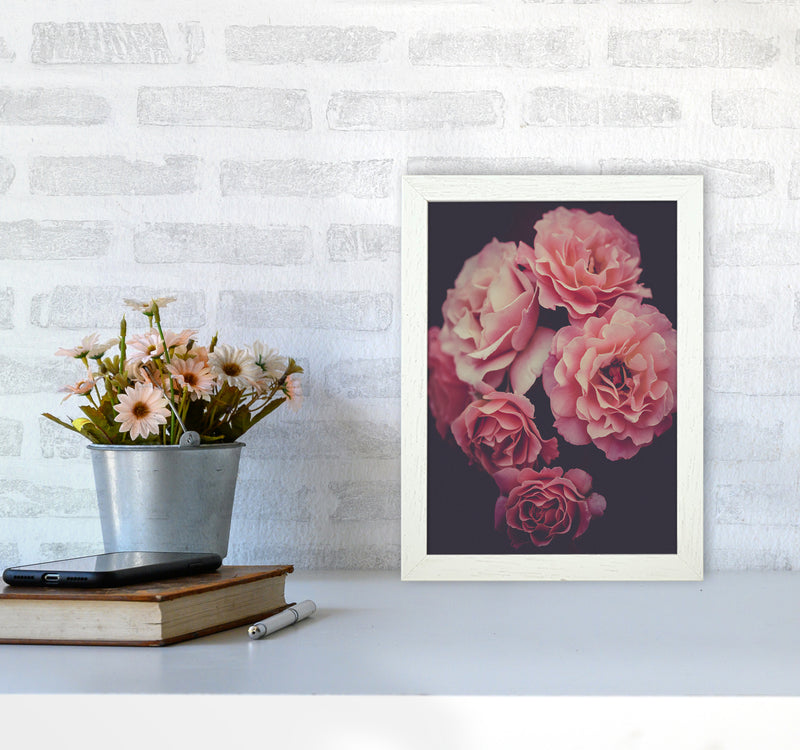 Dreamy Roses Art Print by Seven Trees Design A4 Oak Frame