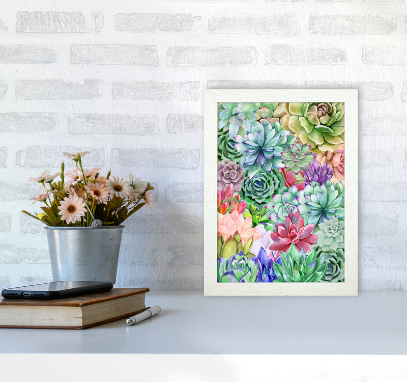 Succulents Paradise Botanical Art Print by Seven Trees Design A4 Oak Frame