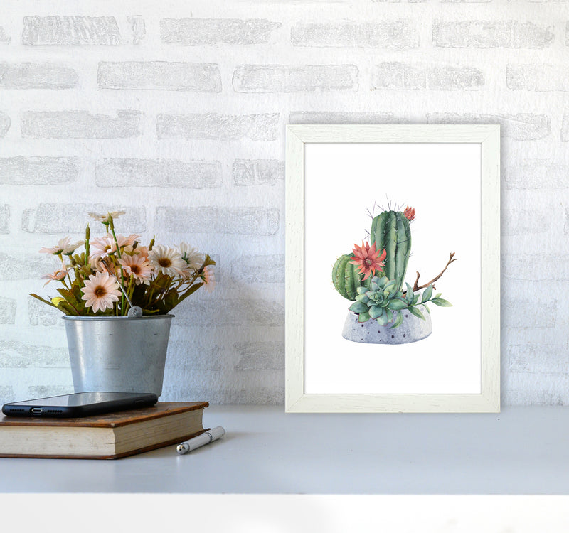 The Watercolor Cactus Art Print by Seven Trees Design A4 Oak Frame