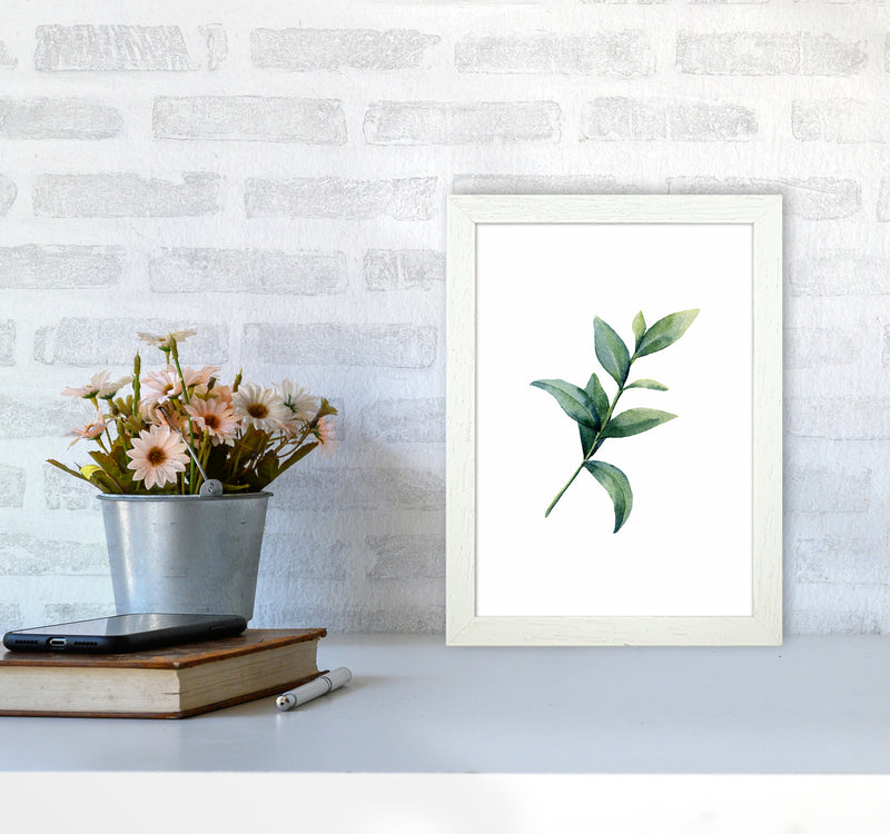 Watercolor Eucalyptus II Art Print by Seven Trees Design A4 Oak Frame