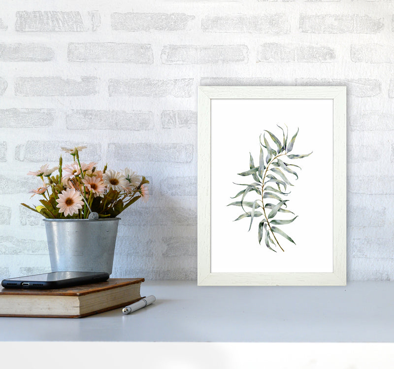 Watercolor Eucalyptus IV Art Print by Seven Trees Design A4 Oak Frame