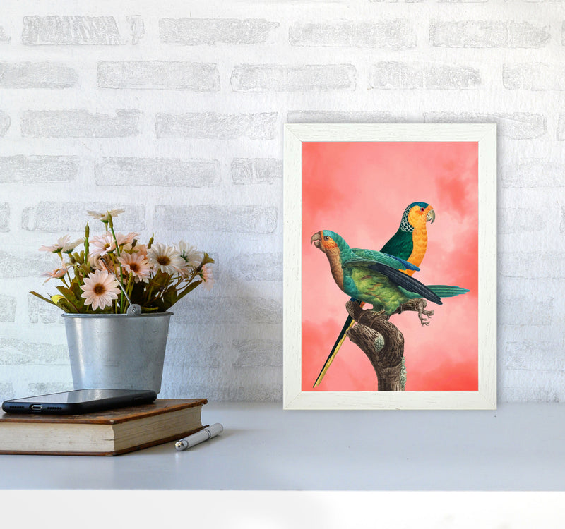 The Birds and the pink sky II Art Print by Seven Trees Design A4 Oak Frame