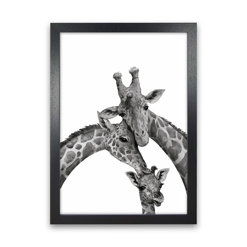 Giraffe Family Photography Art Print by Seven Trees Design Black Grain