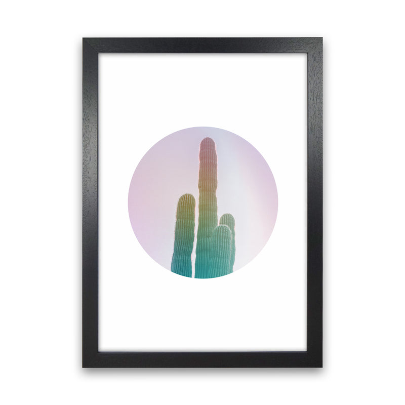 Circular Cacti Art Print by Seven Trees Design Black Grain