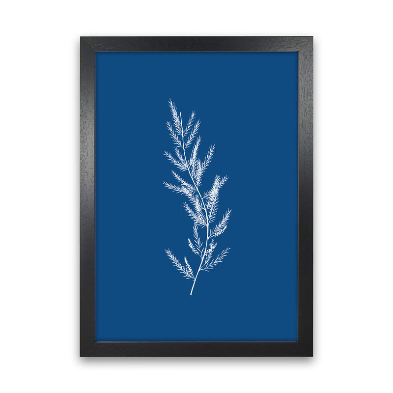 Blue Botanical II Art Print by Seven Trees Design Black Grain