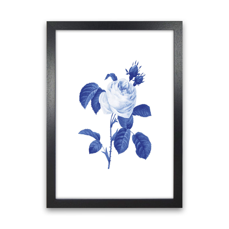 Blue botanic I Art Print by Seven Trees Design Black Grain