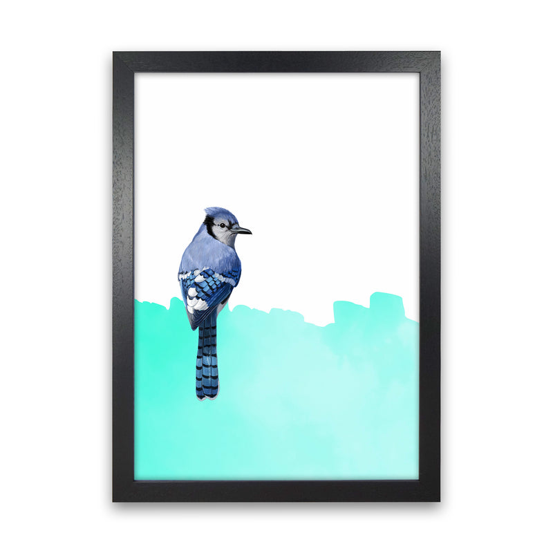 Bird Blue Art Print by Seven Trees Design Black Grain