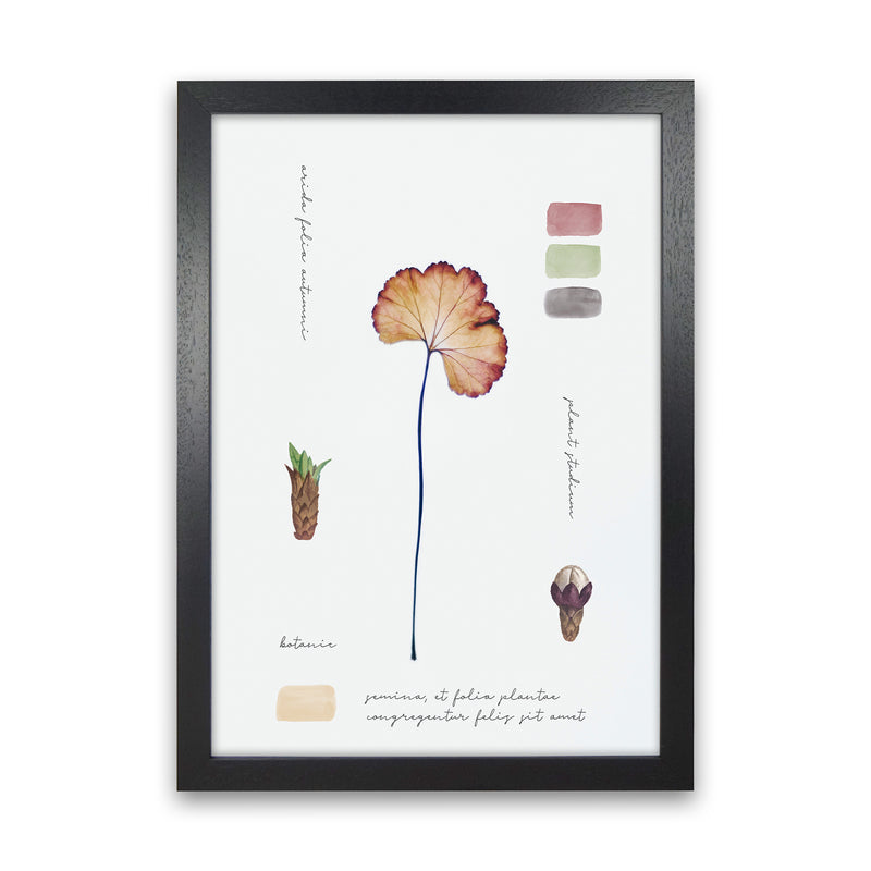 Botanic Notes Art Print by Seven Trees Design Black Grain