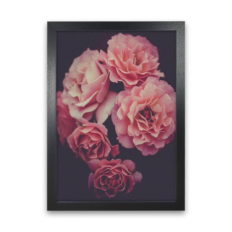 Dreamy Roses Art Print by Seven Trees Design Black Grain