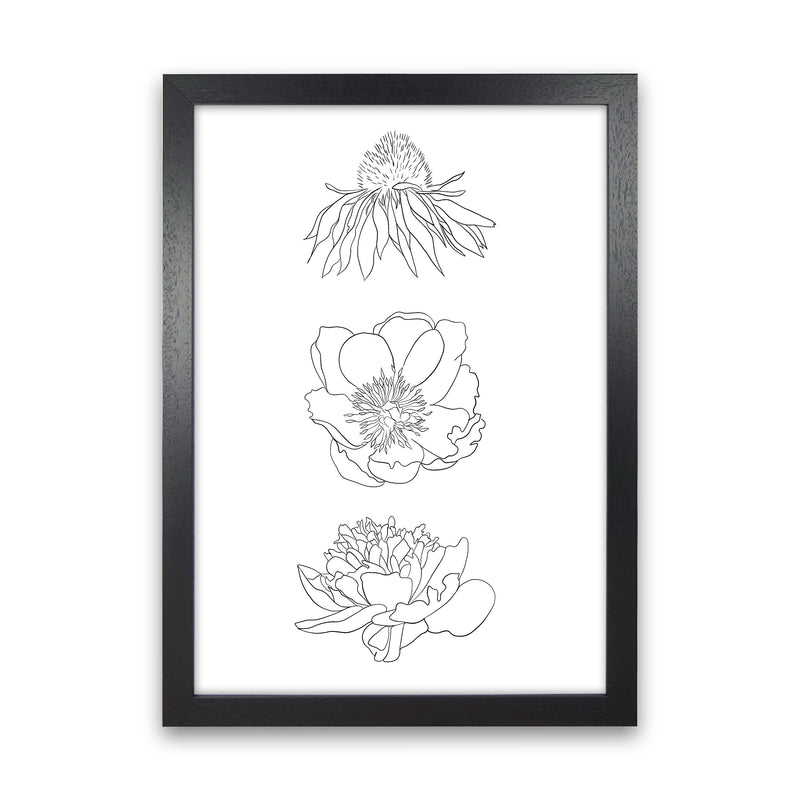 Hand Drawn Flowers Art Print by Seven Trees Design Black Grain