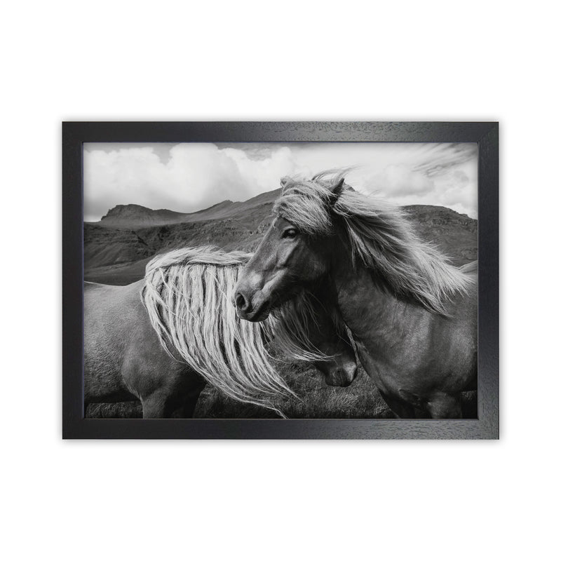 Horses In The Sky Photography Art Print by Seven Trees Design Black Grain