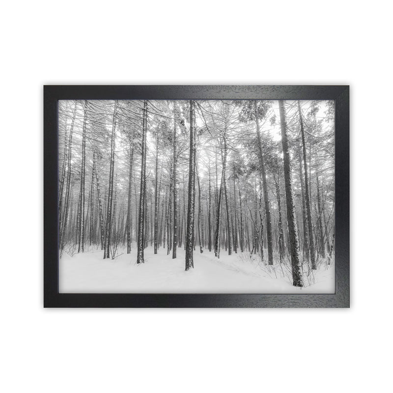 Let it snow forest Art Print by Seven Trees Design Black Grain