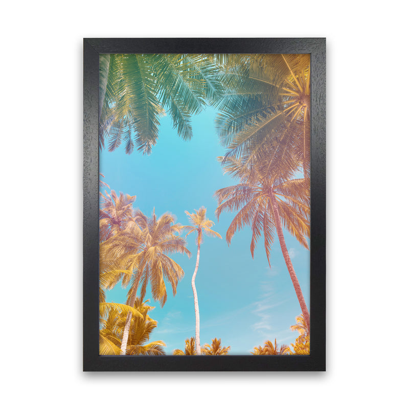 Palms Paradise Art Print by Seven Trees Design Black Grain