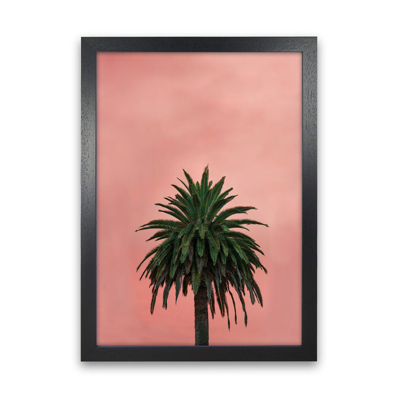 Pink Palm Abstract Art Print by Seven Trees Design Black Grain
