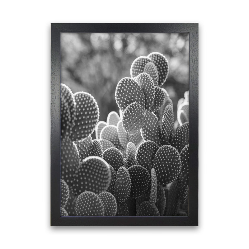 The Cacti Cactus B&W Art Print by Seven Trees Design Black Grain