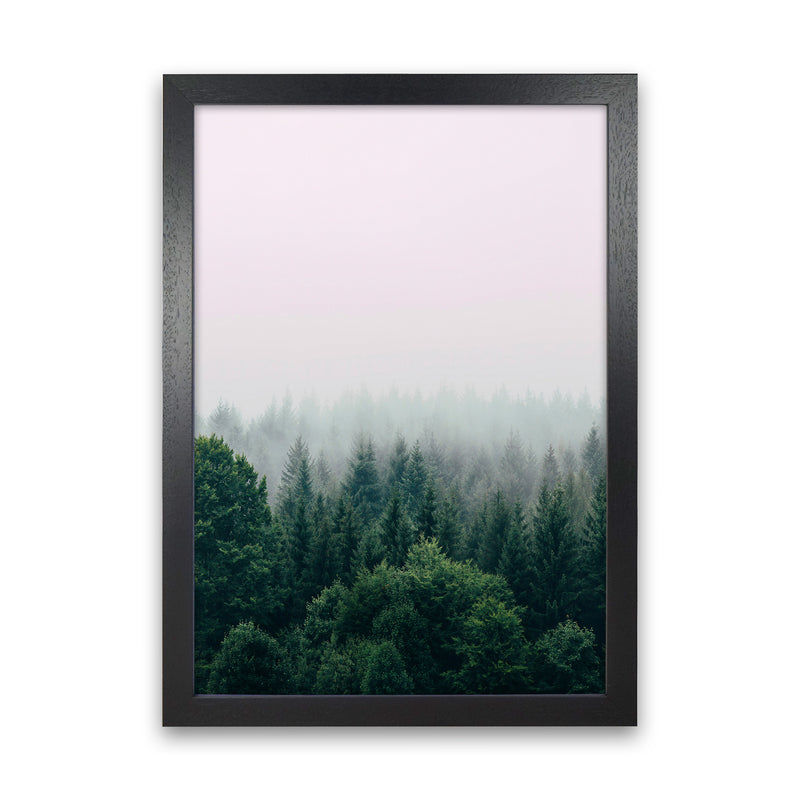 The Fog And The Forest I Photography Art Print by Seven Trees Design Black Grain