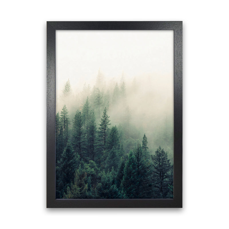 The Fog And The Forest II Photography Art Print by Seven Trees Design Black Grain