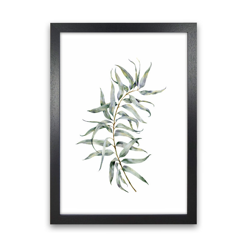 Watercolor Eucalyptus IV Art Print by Seven Trees Design Black Grain