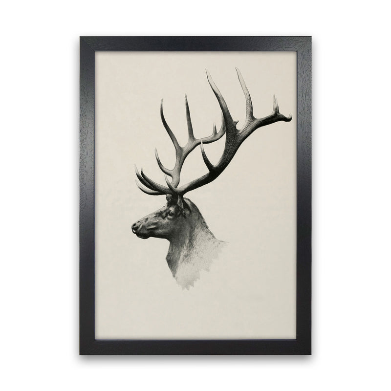 Mountain Reindeer Art Print by Seven Trees Design Black Grain