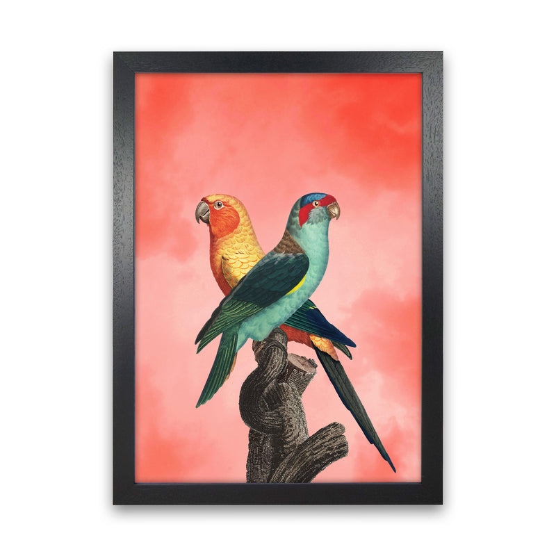 The Birds and the pink sky I Art Print by Seven Trees Design Black Grain