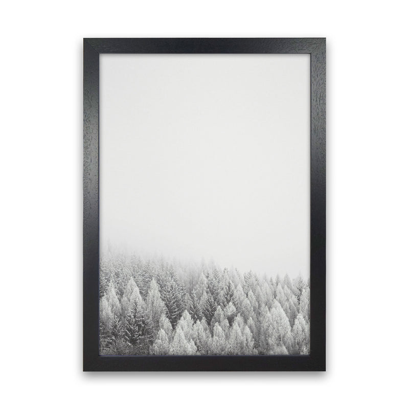 The White Forest Art Print by Seven Trees Design Black Grain