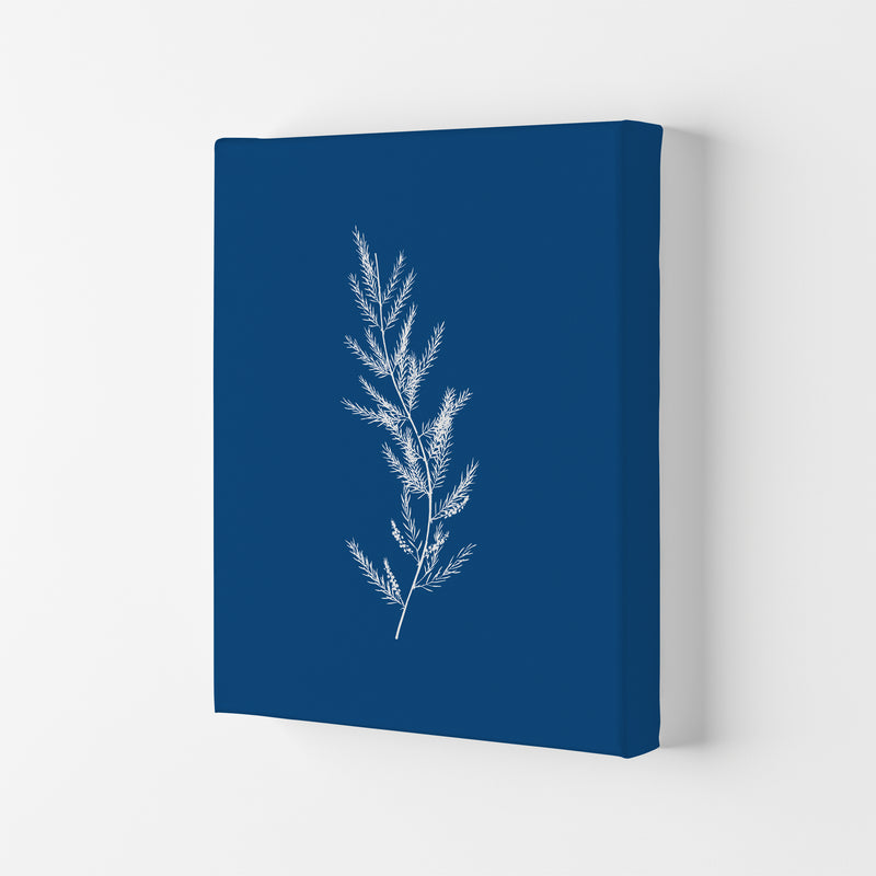 Blue Botanical II Art Print by Seven Trees Design Canvas