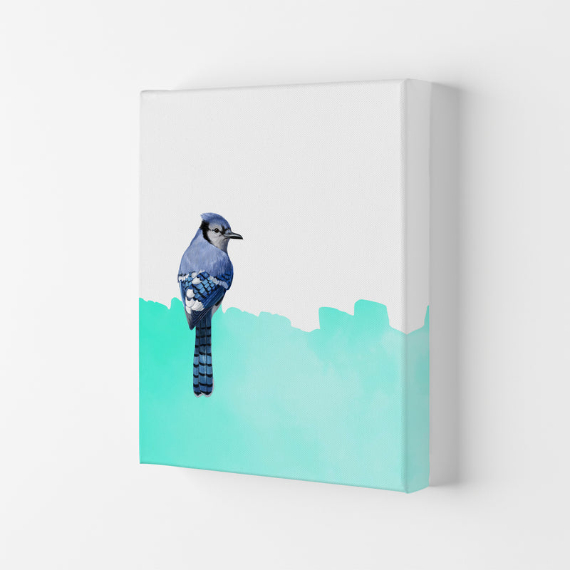 Bird Blue Art Print by Seven Trees Design Canvas