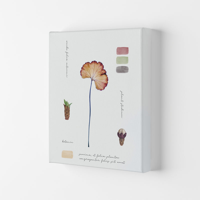 Botanic Notes Art Print by Seven Trees Design Canvas