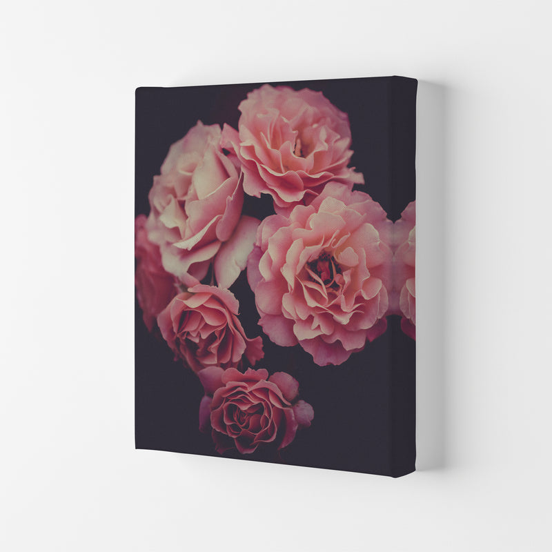 Dreamy Roses Art Print by Seven Trees Design Canvas