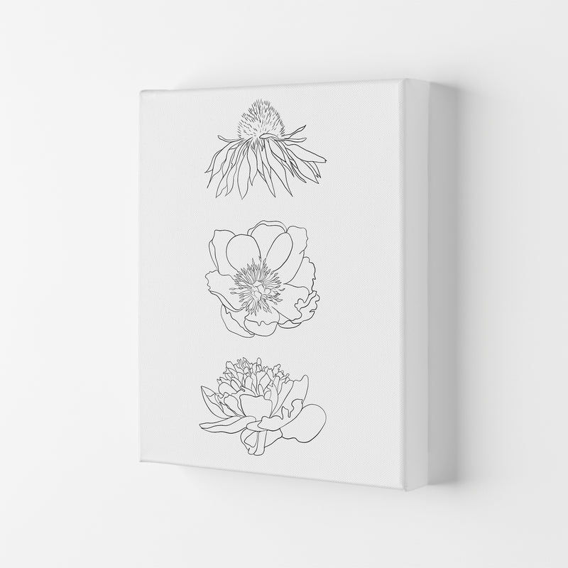 Hand Drawn Flowers Art Print by Seven Trees Design Canvas
