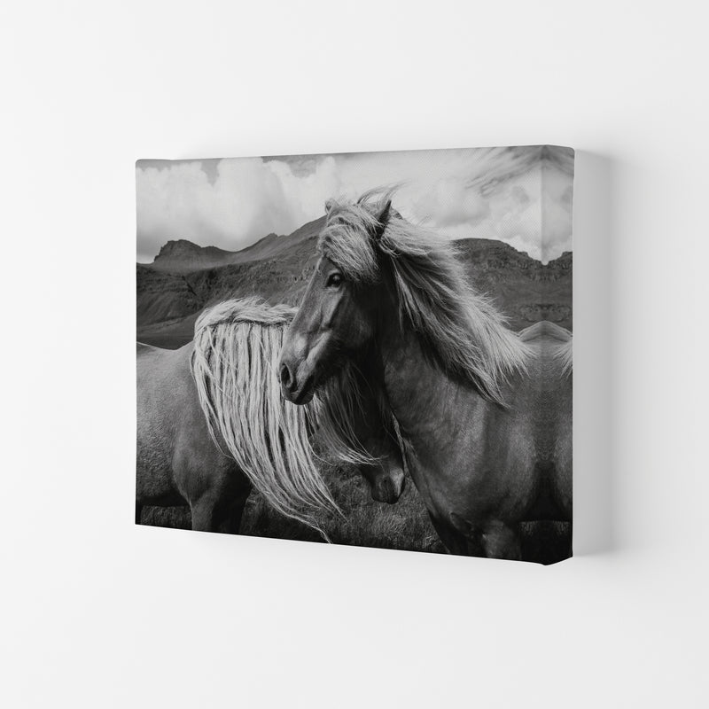 Horses In The Sky Photography Art Print by Seven Trees Design Canvas