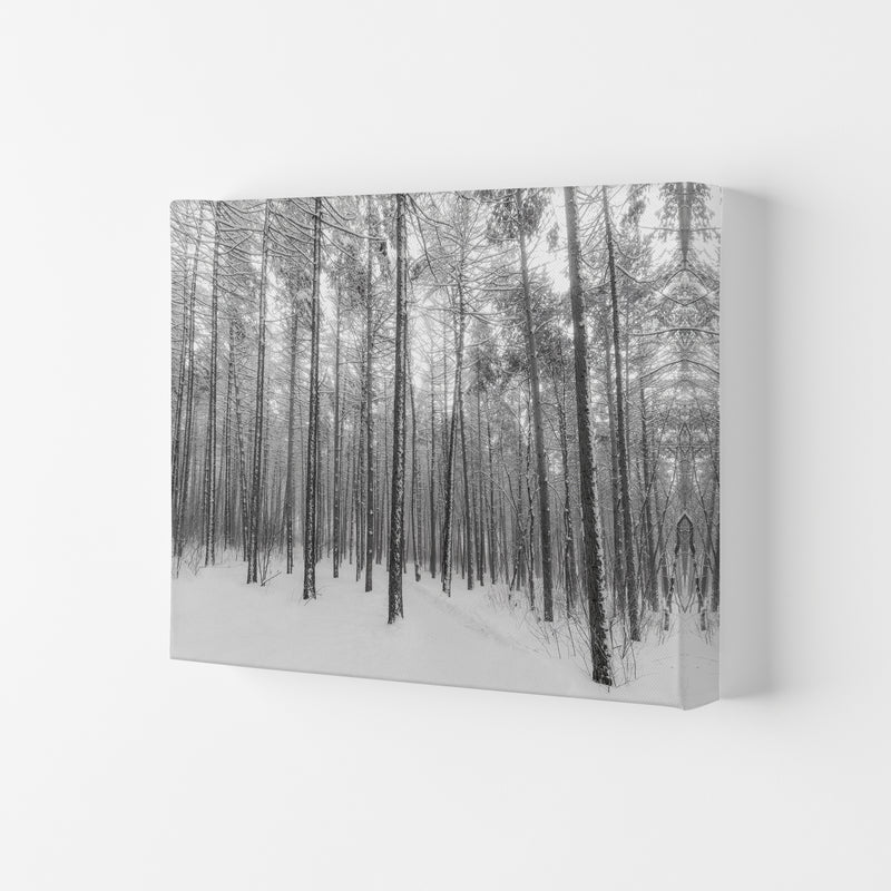 Let it snow forest Art Print by Seven Trees Design Canvas