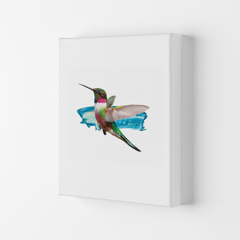 Modern Humingbird II Art Print by Seven Trees Design Canvas