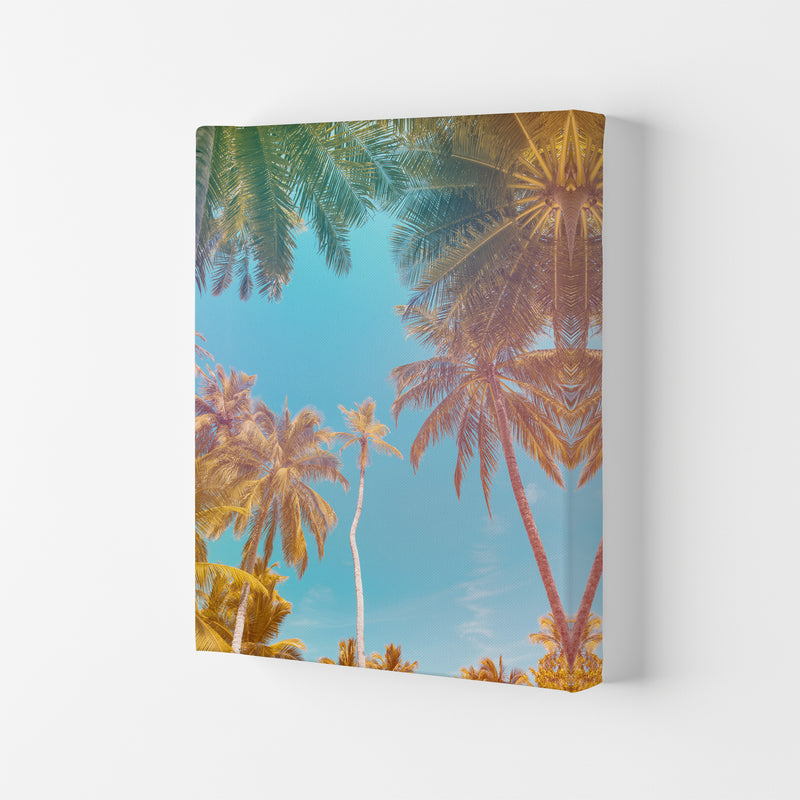 Palms Paradise Art Print by Seven Trees Design Canvas