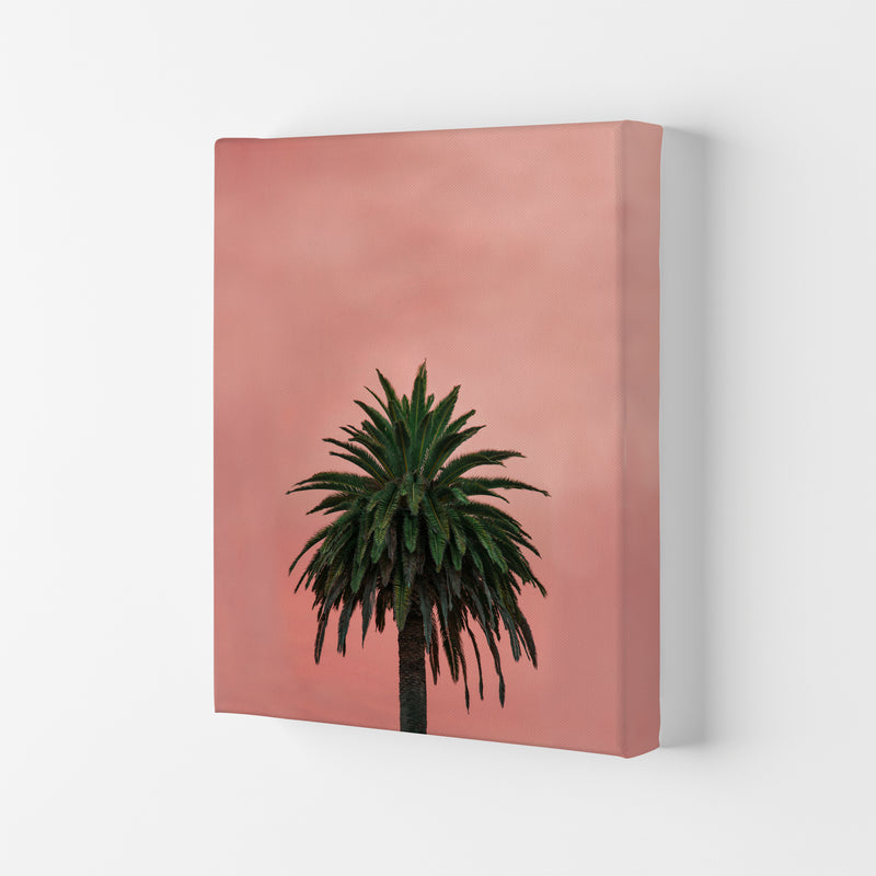 Pink Palm Abstract Art Print by Seven Trees Design Canvas