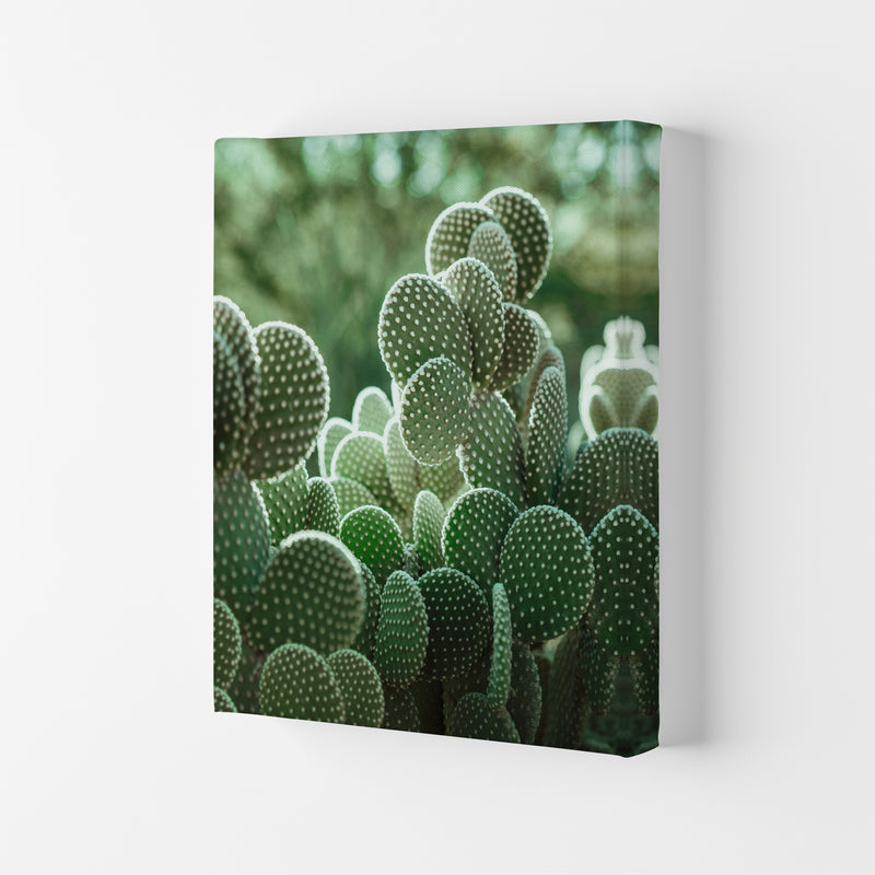 The Cacti Cactus B&W Art Print by Seven Trees Design Canvas