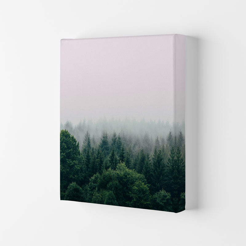 The Fog And The Forest I Photography Art Print by Seven Trees Design Canvas