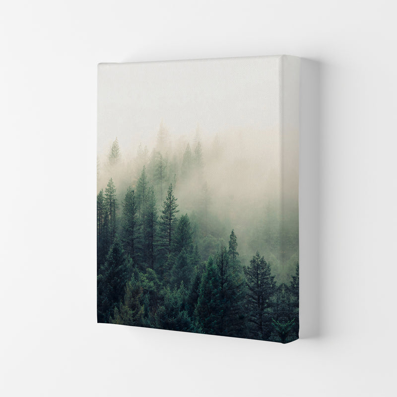 The Fog And The Forest II Photography Art Print by Seven Trees Design Canvas