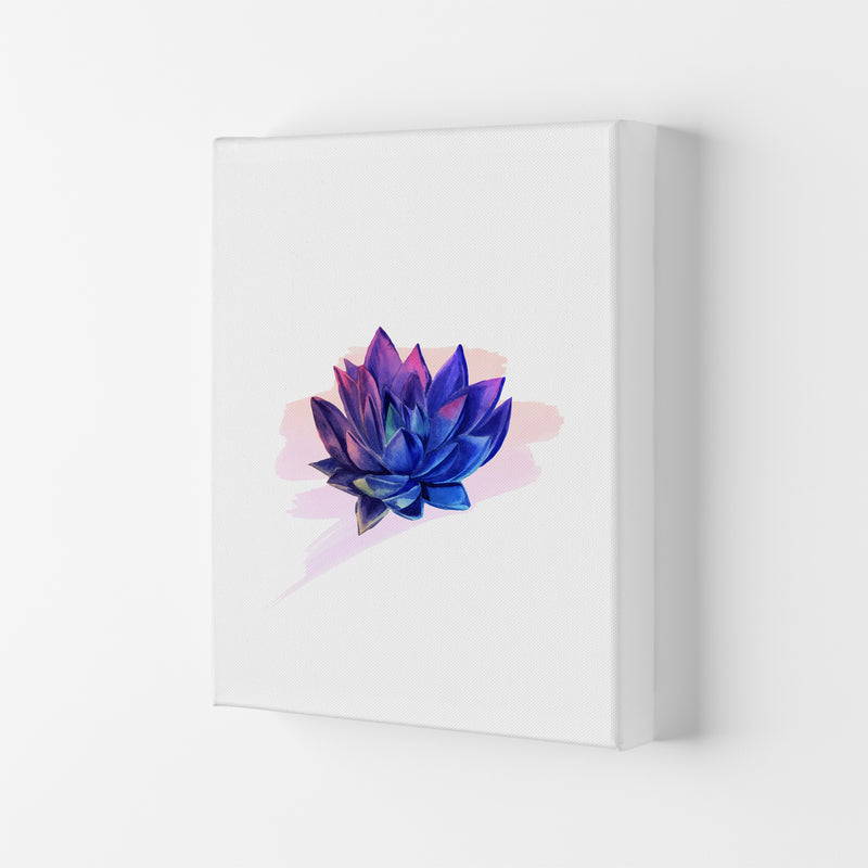 The Modern Succulent Art Print by Seven Trees Design Canvas