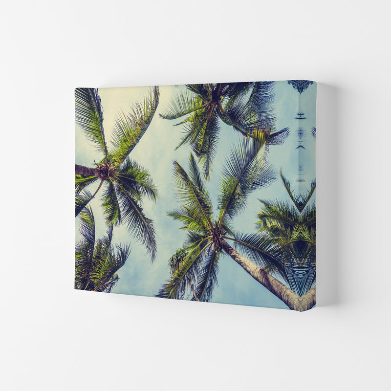 The Palms Photography Art Print by Seven Trees Design Canvas