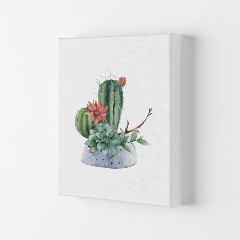The Watercolor Cactus Art Print by Seven Trees Design Canvas