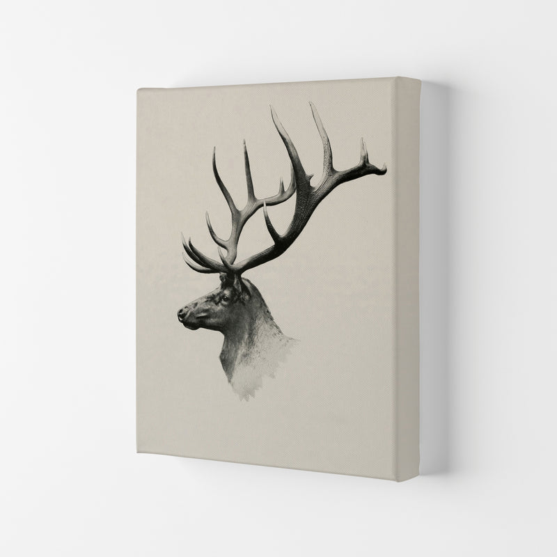 Mountain Reindeer Art Print by Seven Trees Design Canvas
