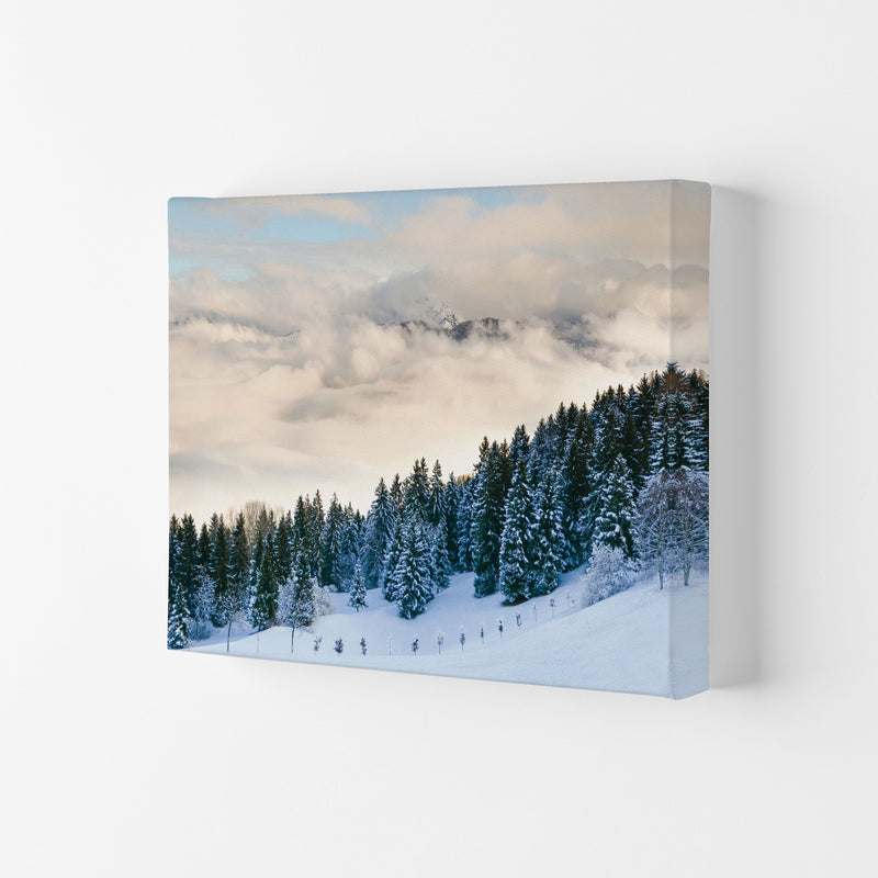 Pines in the sky Art Print by Seven Trees Design Canvas
