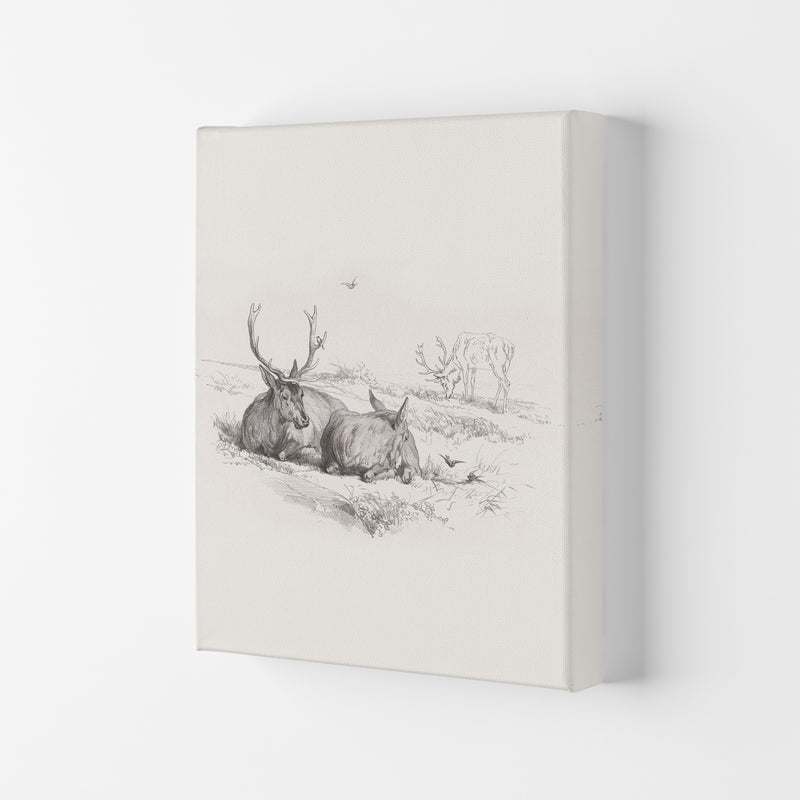 Reindeer Chilling Art Print by Seven Trees Design Canvas