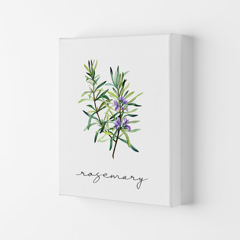 Rosemary Art Print by Seven Trees Design Canvas
