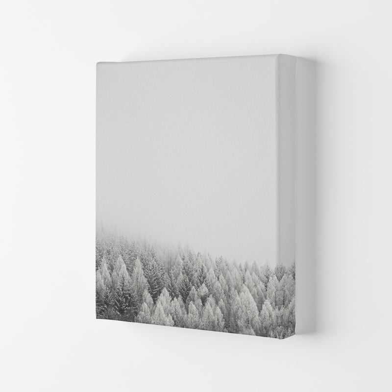 The White Forest Art Print by Seven Trees Design Canvas