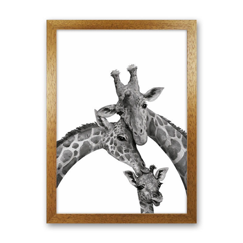 Giraffe Family Photography Art Print by Seven Trees Design Oak Grain